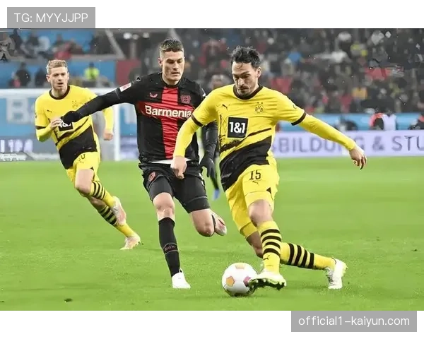 德甲球队欧冠表现两极分化 勒沃库森成唯一不败独苗 德甲球队欧冠表现两极分化 勒沃库森成唯一不败独苗